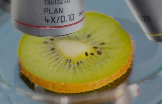 食品安全检测