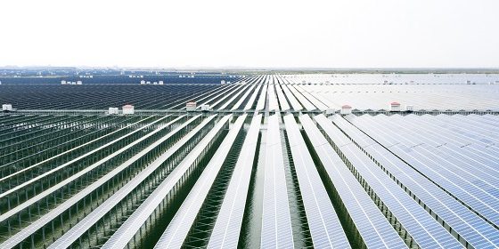 新能源涉网检测