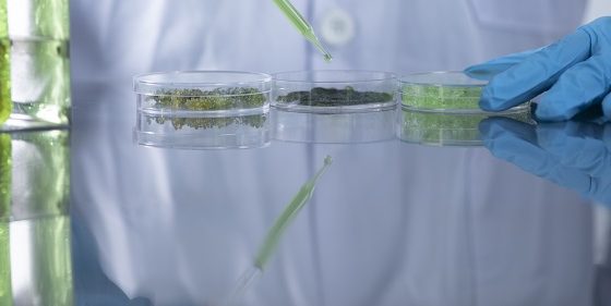 环氧乙烷残留量检测